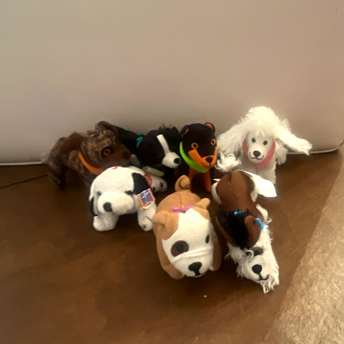 Lot multicolor dog - multicolor, plush
